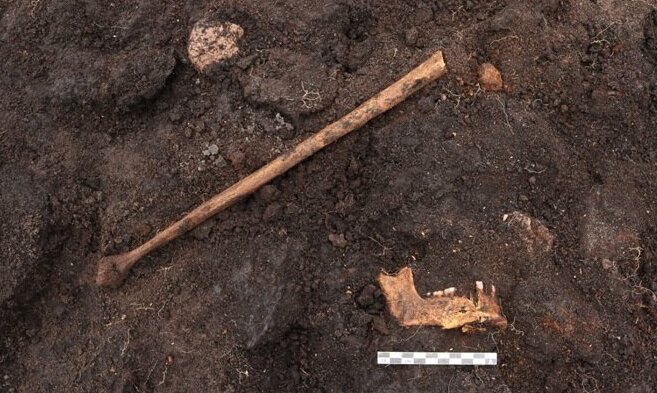 قربانی ۵ هزار ساله آیین‌های باستانی در اروپا / چرا مردم در باتلاق‌ها دفن می‌شدند؟/ عکس
