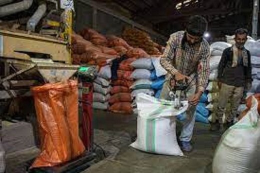 جدول قیمت جدید برنج ایرانی