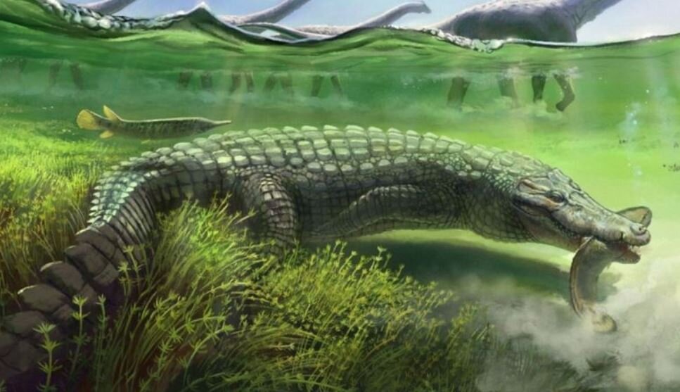 کشف تمساح غول‌پیکر باستانی در برزیل
