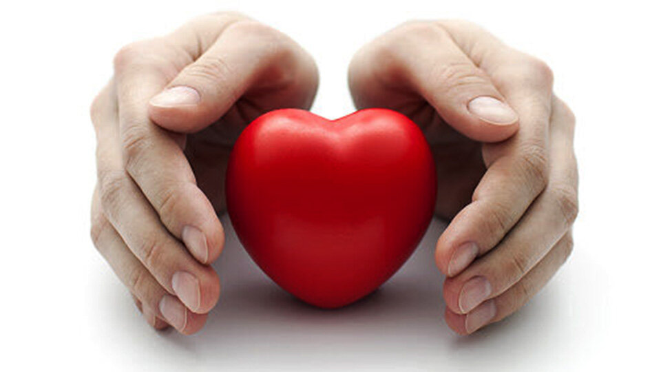 - راهکارهای طب ایرانی برای حفظ سلامت قلب