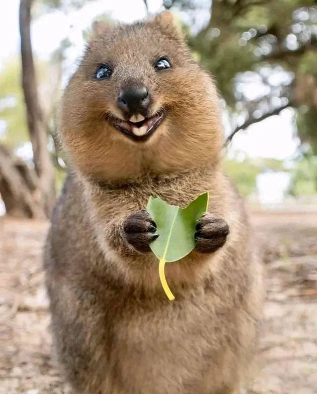 عکس | گول ظاهر بامزه این هیولا کوچک را نخورید