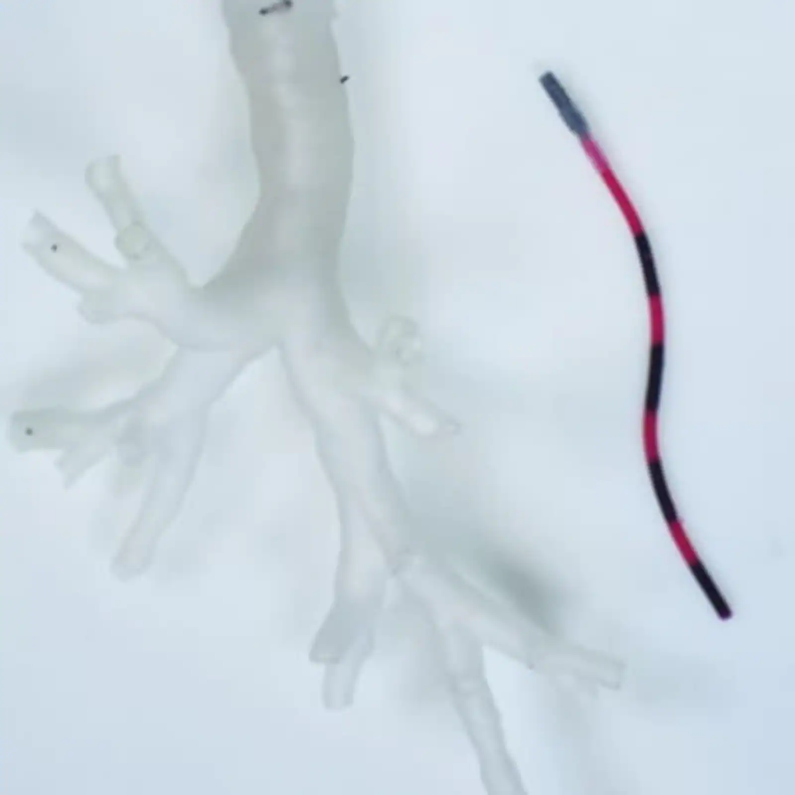 عکس | رباتهای 2022؛ مرگبار، کوچک و باهوش!