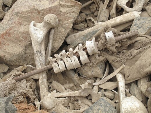 باستان شناسی