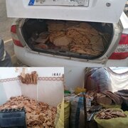 کشف تخلف عرضه نان غیر از مصرف خانوار در شهرستان مشهد