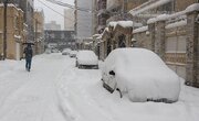 ببینید | تصادف و لیزخوردن خودروهای لاکچری و گران قیمت در برف!