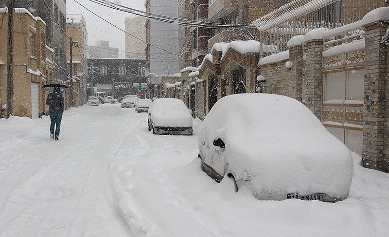 ببینید | وقتی درب خانه به زور باز می‌شود؛ میزان بارش برف در دهگلان کردستان
