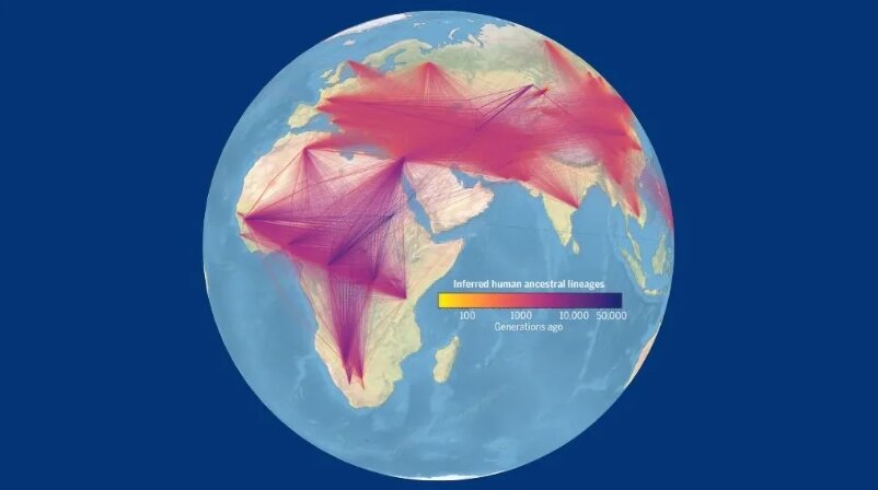 انسان اولیه، چیزی که تاکنون نمیدانستیم/ از جراحی قطع عضو تا یک مهاجرت تاریخی/ عکس