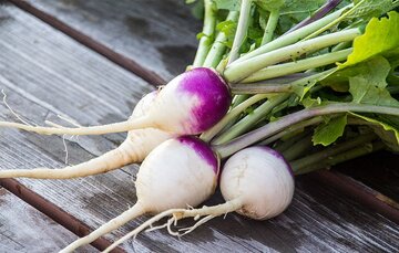 با مصرف این خوراکی از سرماخوردگی در امان بمانید با مصرف این خوراکی از سرماخوردگی در امان بمانید