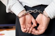 دستگیری یک نفر در رودبار جنوب به جرم شایعه پراکنی و حمایت از دشمن