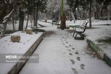 بارش برف و باران در نقاط مختلف کشور/کاهش نسبی دما در برخی مناطق