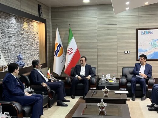 شهرک پتروشیمی در قشم احداث میشود