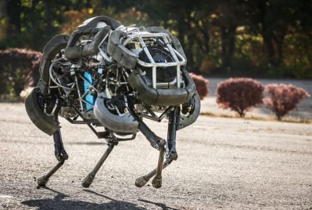 عکس | از پهپاد چشم جغد روسیه تا ربات گربه وحشی؛ در میدان نبرد چه میگذرد؟