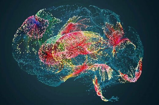 کشف لایه‌ای عجیب در مغز انسان