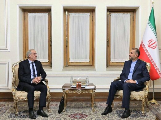 Syria-Iran coop. to help stabilize region: FM Amirabdollahian