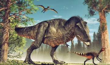 کشف رمز و راز صداهایی که دنیای دایناسورها را تسخیر کرده بود!