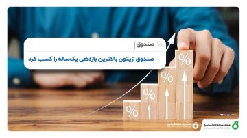 صندوق زیتون بالاترین بازدهی را در سال ۲۰۲۲ میلادی کسب کرد