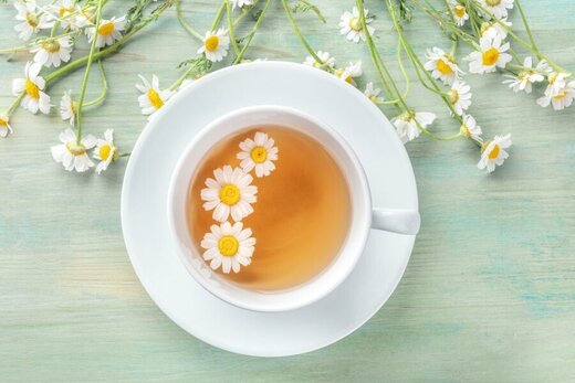 خواص شگفتانگیز و درمانی بابونه برای تقویت معده و سلامت بدن