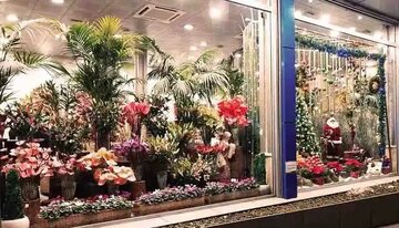 قیمت گل روز مادر نجومی شد/ فروش دسته گل ۲۳ میلیون تومانی!