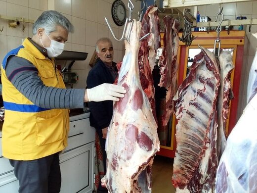 توزیع گوشت منجمد گوسفندی 142 هزار تومانی و گوساله 152 هزار تومانی