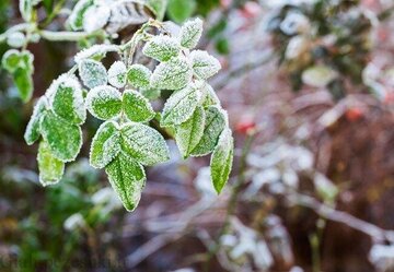 تداوم سرمای هوا و وزش باد شدید در هرمزگان/ دمای حاجی‌آباد به صفر درجه رسید