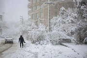 ببینید | گزارش رئیس پلیس راهور: بارش برف در تهران موجب یخ‌زدگی و ...