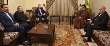 Iran FM, Hezbollah chief discuss key regional issues