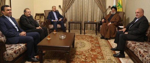 Iran FM, Hezbollah chief discuss key regional issues