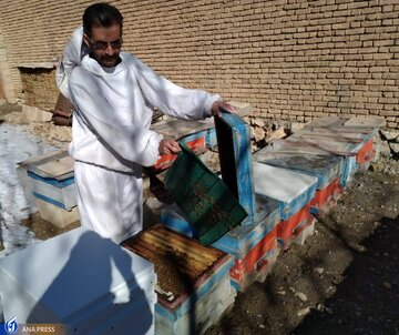 افزایش بهره‌وری محصولات زنبور عسل با ساخت کندوی کف‌باز