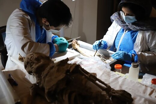 خانوادههای ایرانی میتوانند درخواست مومیایی اموات خود را بدهند؟/ قیمت مومیایی اجساد