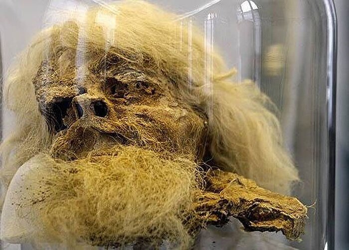 خانوادههای ایرانی میتوانند درخواست مومیایی اموات خود را بدهند؟/ قیمت مومیایی اجساد 3