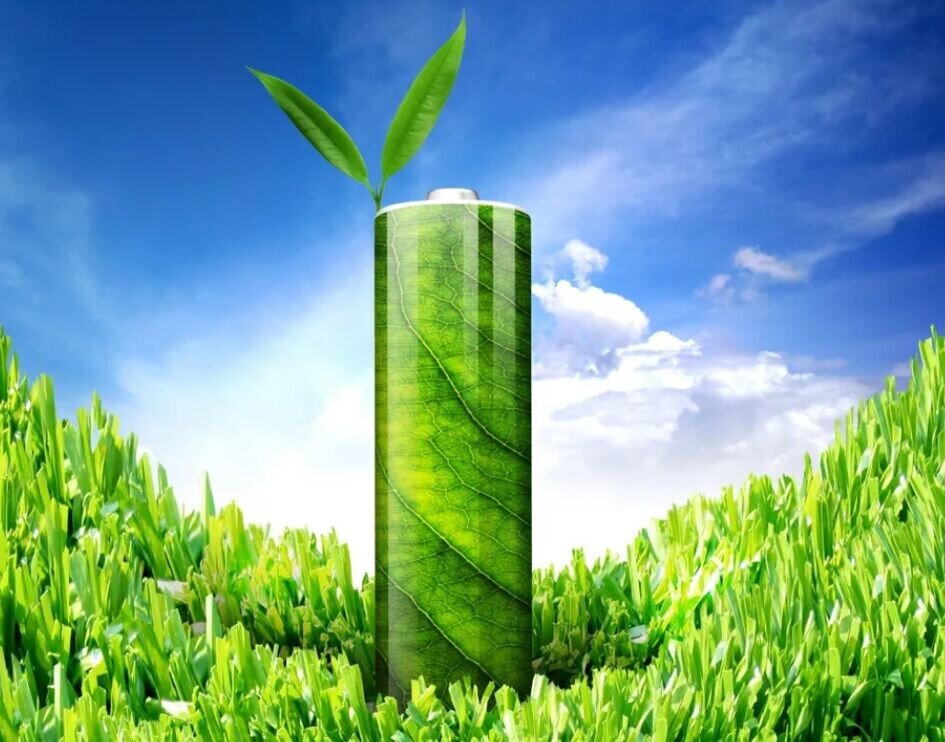 فناوری حیرتانگیز تولید برق از گیاهان