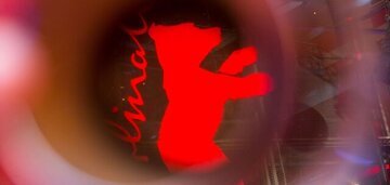 همه جشنوارهها سیاسیاند از برلین تا فجر/ فجر میخواهد سیاسی باشد قدرتش را ندارد همه جشنوارهها سیاسیاند از برلین تا فجر/ فجر میخواهد سیاسی باشد قدرتش را ندارد