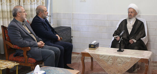 آیت‌الله مکارم شیرازی در دیدار وزیر کشور: افزایش نرخ دلار از عوامل ناراحتی مردم است