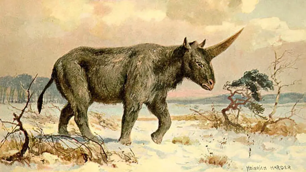 عکس | کشف فسیلهای باستانی تکشاخ در منطقهای دورافتاده در ارتفاعات اسکاتلند