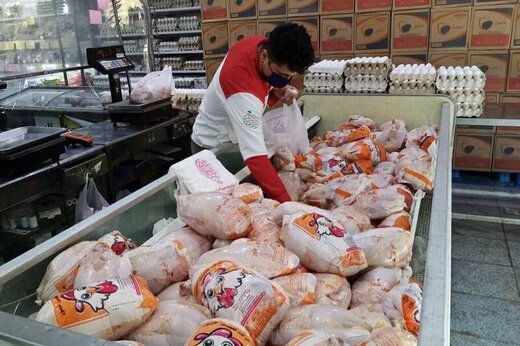 مدیرکل بازرسی وزارت جهاد: مرغ ۱۰ هزار تومان زیر قیمت عرضه می شود/ بخرید و ذخیره کنید 