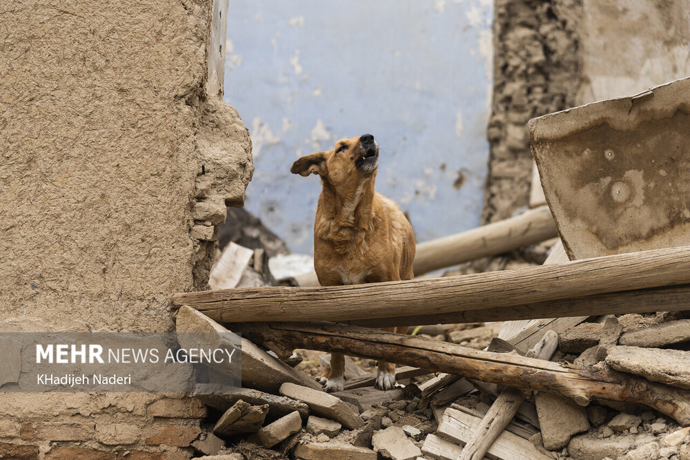 تصاویر | وضعیت بازار قیصریه اصفهان پس از ریزش سقف