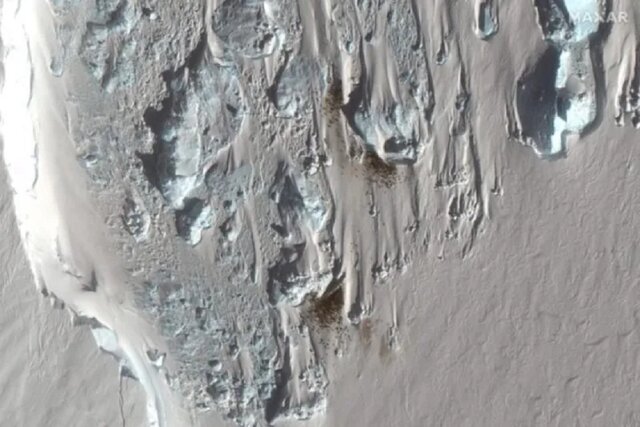 کشفی شگفتانگیز با رصد مدفوع پنگوئنها از فضا / عکس