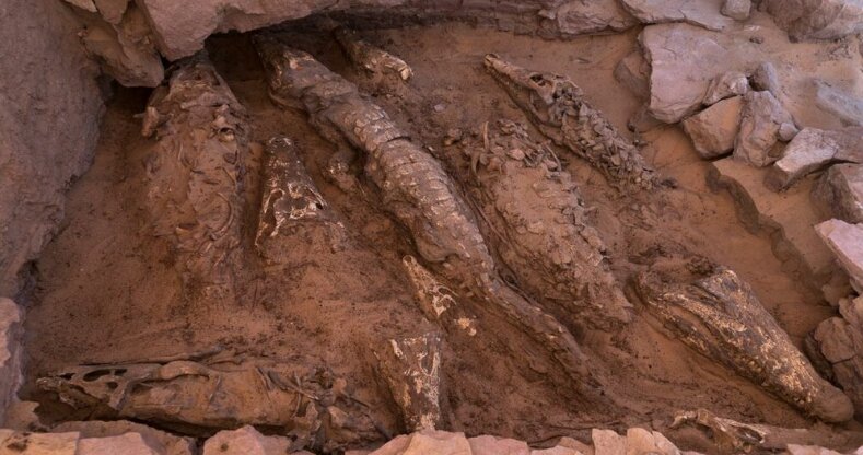 مومیاییهایی ترسناک و عجیب که در یک مقبره پیدا شدند / عکس