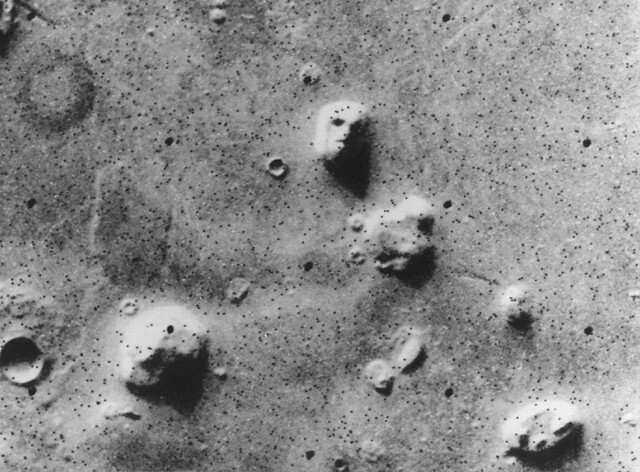 چهره تماشایی خرسی که در مریخ پیدا شد / عکس