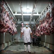 روزنامه هم‌میهن: مصرف سالانه گوشت مردم جیبوتی ۳ و نیم برابر هر ایرانی است