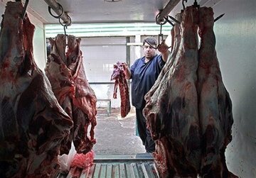  گوشت گوسفند روسی می رسد؛ قیمت ۱۸۰ هزار تومان 
