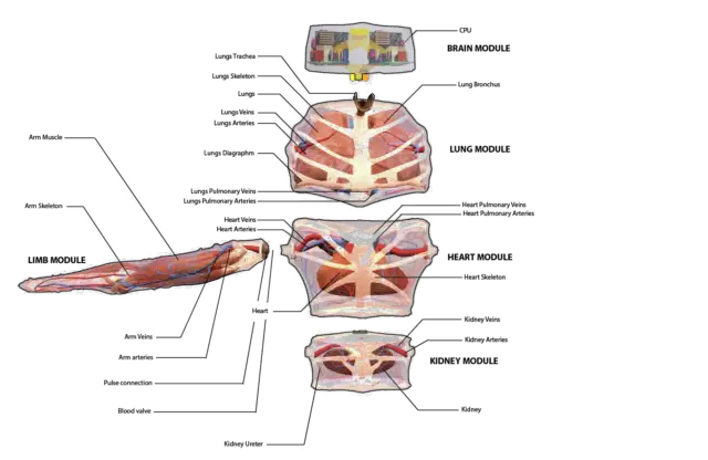 عکس| این موجود زنده از بدن یک زیستشناس ایجاد شده!