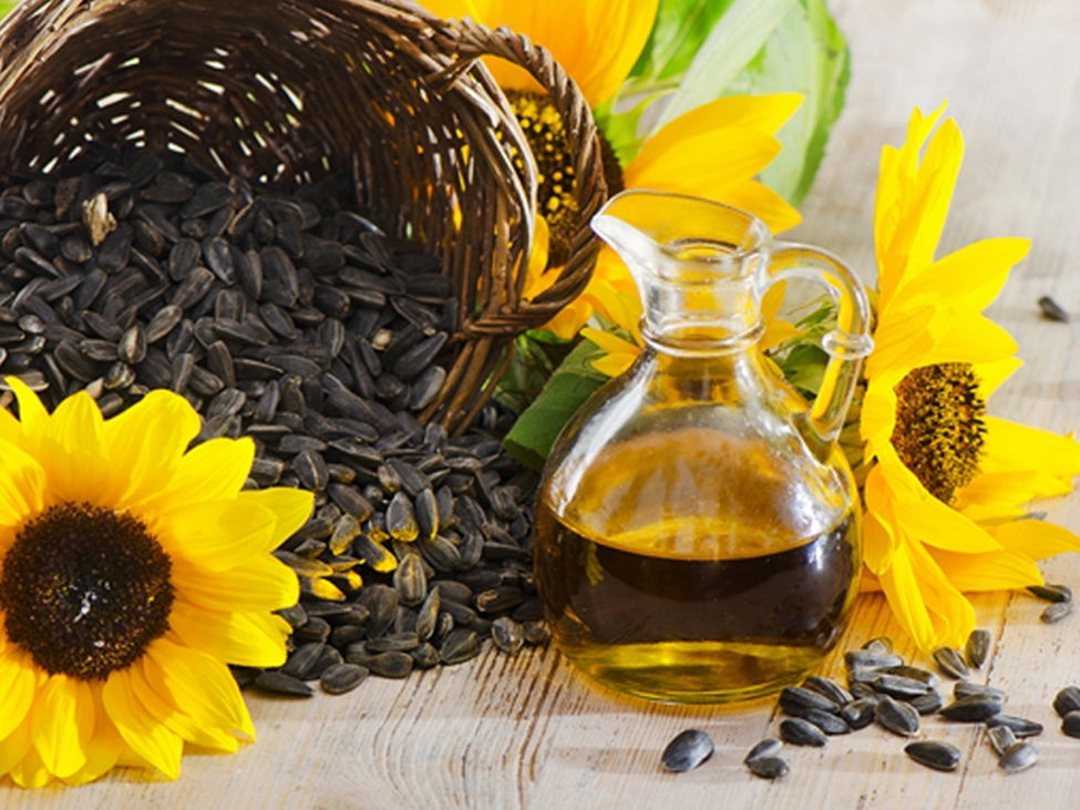 خواص شگفت‌انگیز روغن آفتابگردان فرابکر