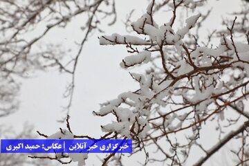 ارومیه بالاخره برفی شد