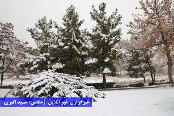 ارومیه بالاخره برفی شد