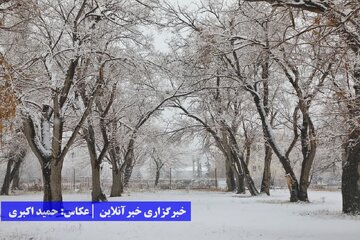 ارومیه بالاخره برفی شد