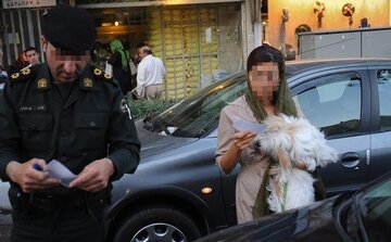 امام جمعه قزوین: ضرر «سگ‌های خانگی»، از حیوانات «غارتگر بیت‌المال»، خیلی کمتر است