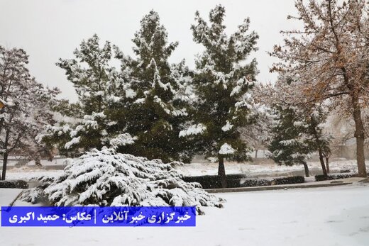 ارومیه بالاخره برفی شد
