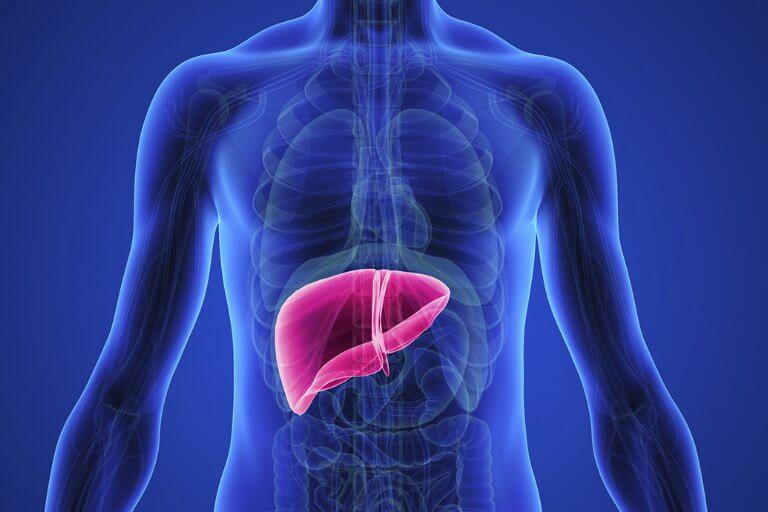 این غذاها کبدتان را چرب میکند؛ نخورید
