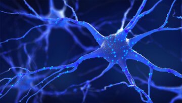 درمان سلول‌های عصبی آسیب‌دیده با نانوذرات مغناطیسی